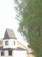 Der Dorfring in Pohritzsch